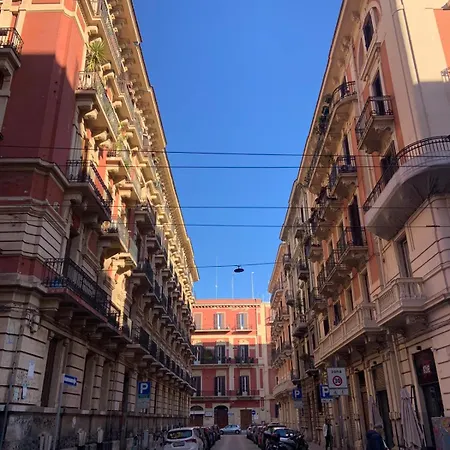 Downtown Luxury *