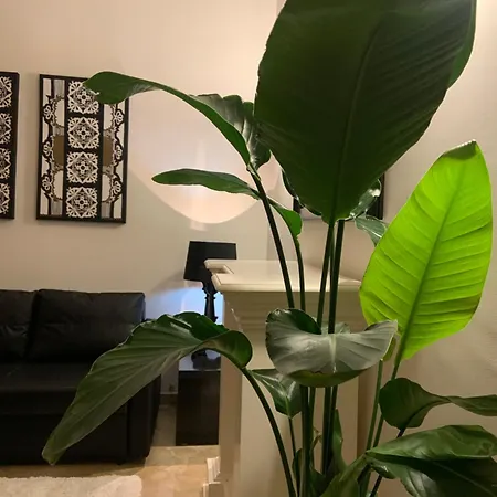 Downtown Luxury Apartment