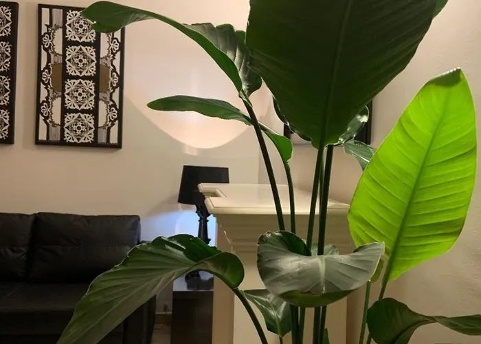 Downtown Luxury Daire